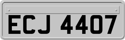 ECJ4407
