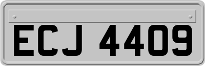 ECJ4409