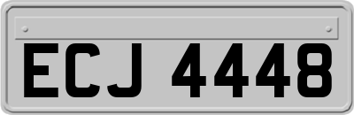 ECJ4448