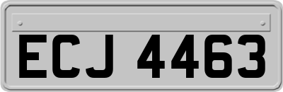 ECJ4463