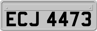 ECJ4473