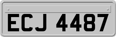 ECJ4487