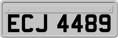 ECJ4489