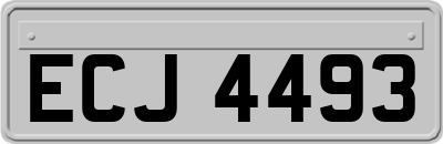 ECJ4493