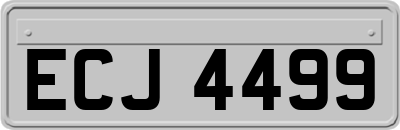 ECJ4499