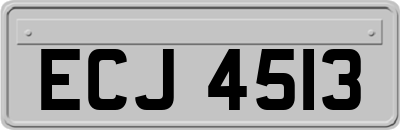 ECJ4513