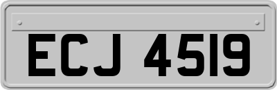 ECJ4519