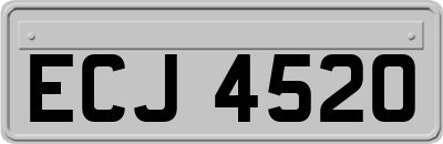 ECJ4520