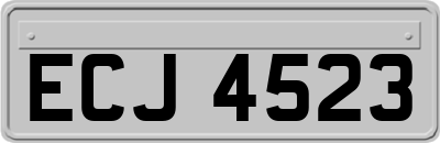 ECJ4523
