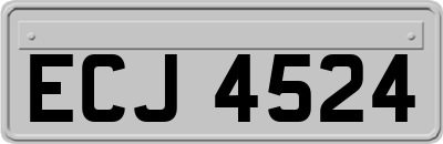 ECJ4524