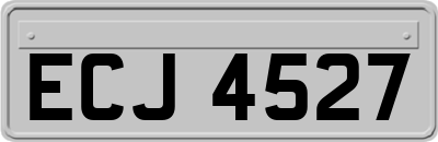 ECJ4527