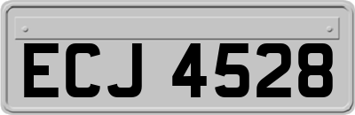 ECJ4528