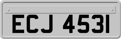 ECJ4531