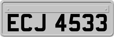 ECJ4533