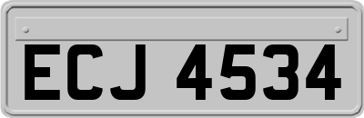 ECJ4534