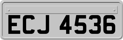 ECJ4536