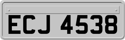 ECJ4538
