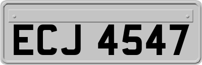 ECJ4547