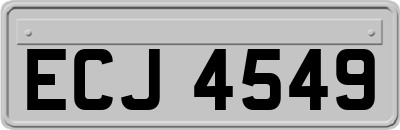 ECJ4549