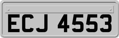ECJ4553