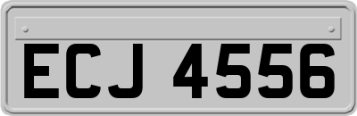 ECJ4556