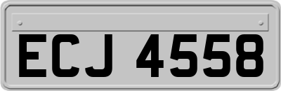 ECJ4558