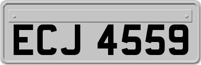 ECJ4559
