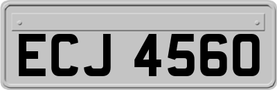 ECJ4560