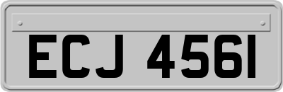 ECJ4561