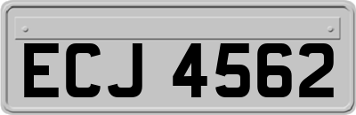 ECJ4562