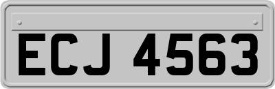 ECJ4563
