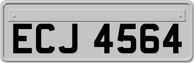 ECJ4564