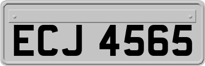 ECJ4565