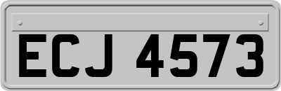 ECJ4573