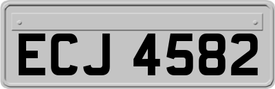 ECJ4582