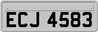 ECJ4583