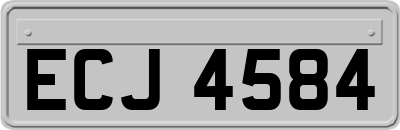ECJ4584