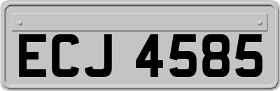 ECJ4585