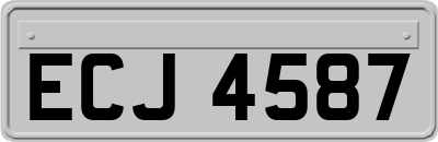 ECJ4587