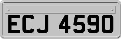 ECJ4590