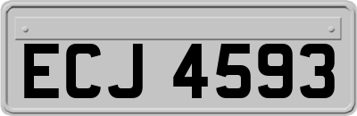 ECJ4593