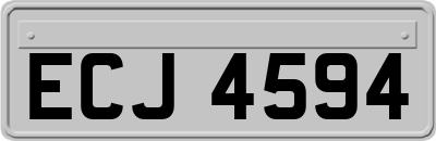 ECJ4594