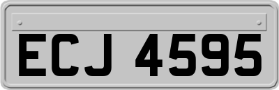 ECJ4595