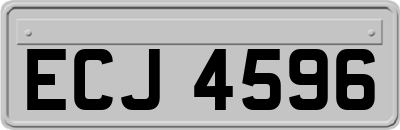 ECJ4596