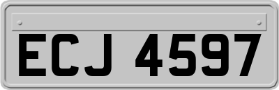 ECJ4597