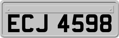 ECJ4598