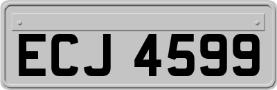 ECJ4599