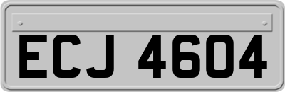 ECJ4604