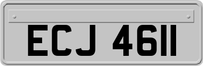 ECJ4611