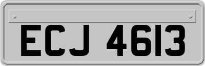 ECJ4613